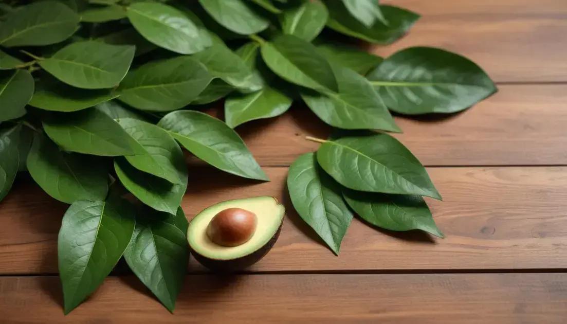 20 health benefits of avocado leaves for hair you didn’t know about