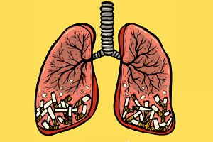 Natural factors for better lung, bronchial, and sinus health 6 Clear Your Lungs Naturally! 🌿