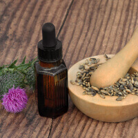 Unlock fat-burning power with better liver health: boost your metabolism today 7 Reverse Toxin Overload